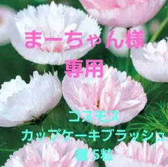 まーちゃん様 リクエスト 3点 まとめ商品