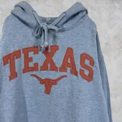 カレッジ【Authentic Apparel】 チームロゴ 古着 パーカー L