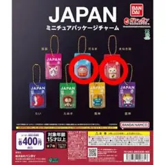 ⑤BANDAI JAPAN ミニチュアパッケージチャーム 2種セット