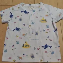 GELATOPIQUE 海洋テーマ Tシャツ XXS