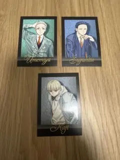 ウィンドブレーカー　ぱしゃこれ