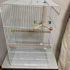 버드케이지 ☆ 아름다운 아이템 ‼️