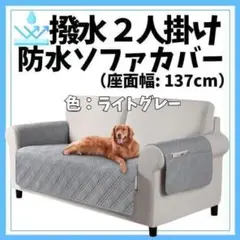 Item thumbnail for item 071c48c7-529a-4b53-93b6-d8df3f454a5b