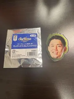 シーホース三河 バスケットボール