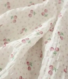 Item thumbnail for item 4d435271-7500-44bb-a95d-5c6b5a223f4e