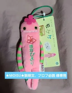 ︎︎★★MOISU︎︎★説明文、プロフ必読様専用★モケケ よみうりランド 2種