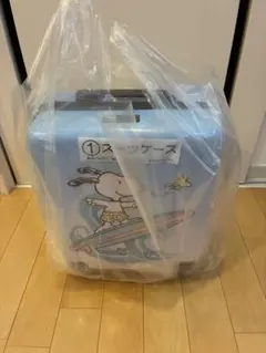 Snoopy スーツケース マグカップ セット サンリオ 当たりくじ - メルカリ