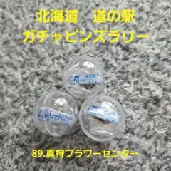 道の駅 ガチャピンズラリー ゴールドバージョン まるせっぷ 15番