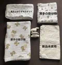 Item thumbnail for item 733dce38-ca53-4d4b-ba78-3af8139de200