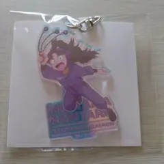 オーロラアクリルキーホルダー　竹谷八左ヱ門