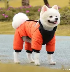 【新品　未開封】　小型犬用　ロンパース　Lサイズ　中綿つなぎ