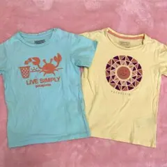 パタゴニア キッズ Tシャツ 2点セット　4T
