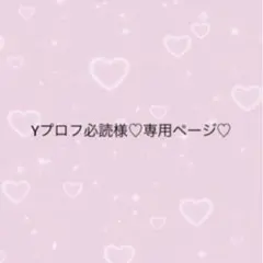 Yプロフ必読様♡専用ページ♡ネイルチップ2点