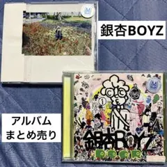 銀杏BOYZ アルバム　光のなかに立っていてね　DOOR まとめ売り