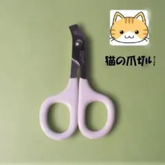 Item thumbnail for item 01f0fe34-3279-4736-8cf0-1bf77ad4cb18