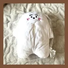 Item thumbnail for item 52d29bd3-42f1-44ff-81f0-c2beb03166da