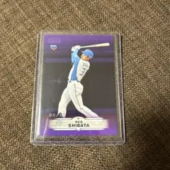 柴田獅子選手 topps 2025 10シリ