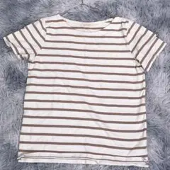 Kobe Lettuce【M】半袖Tシャツ　アイボリー　ボーダー　綿100％