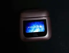 訳アリJBL Tour Pro 2 ピンク イヤホンケースのみ