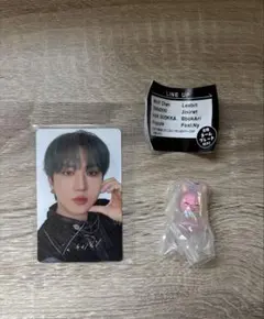 StrayKids チャンビン 特典トレカ＆SKZOOめじるしアクセサリー