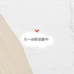 ちー@断捨離中　様専用