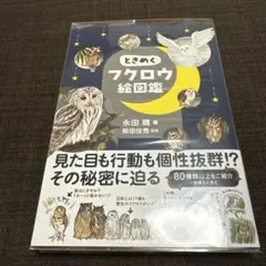 Item thumbnail for item 35620d7c-01ab-4264-bbac-a4f4d631b646