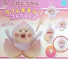 こびとづかん カクレモモジリ 9点セット おまけ付き 最終値下げこびとづかん カクレモモジリコレクションキーホルダー