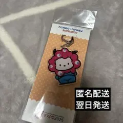 Item thumbnail for item fd95db7b-b759-46f1-8813-5ab6d6cbab56