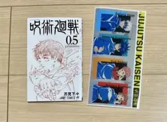 呪術廻戦 0.5 とチケットファイル 2点