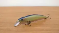 【ニシネルアーワークス】エリー95SDのサムネイル