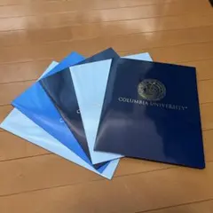 Item thumbnail for item 6e2161b2-e043-4093-8d7b-c91a98a6dd27