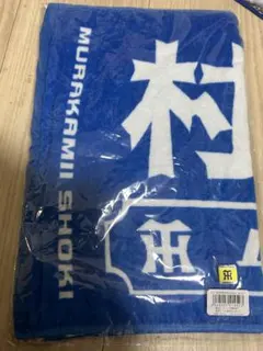 Item thumbnail for item 34770795-5b1c-44d5-8a5c-03b4cf521491