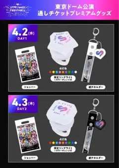 すとふぇす　通しチケット限定　プレミアムグッズ　東京ドームセット