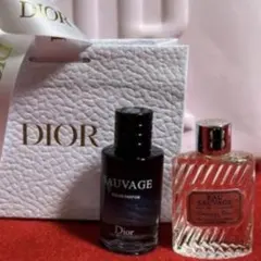 [Christian Dior] SAUVAGE vs EAU SAUVAGE