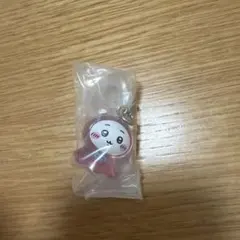 치이카와 메지루시 액세서리