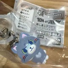 TOM and JERRY めじるしアクセサリー　スペシャルver. とむ