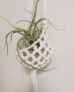 Item thumbnail for item 4e6e33f9-aafc-40cf-b81c-aa69dd812590