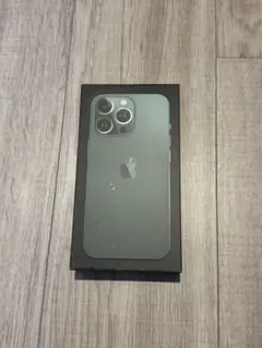 iPhone 13 pro 備品のみ