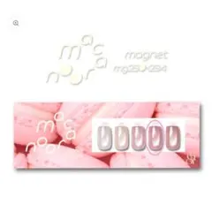 新品未開封　enoi macaroon magnet マカロンマグ　 mg233