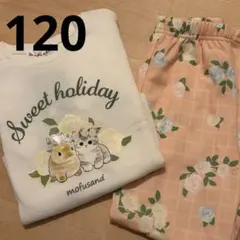 mofusand キッズ　パジャマ　セット　120 モフサンド　うさぎ　ドンキ