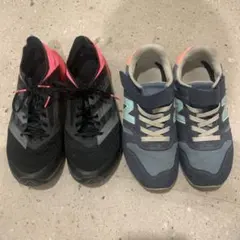 Item thumbnail for item a7d15b28-b02a-443c-88f7-f5955d8d7556