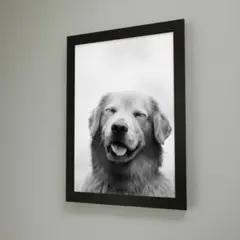 Item thumbnail for item 433776a4-df72-431b-b80a-23bc298081c1