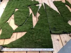 Item thumbnail for item db8ecb9c-ffed-4f99-922a-215df68654a8