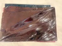 Item thumbnail for item 2a48ca2f-e2c1-4f87-8c63-7a829057d96b