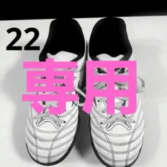 Item thumbnail for item e5bdd4c3-66d5-4d5f-8899-d29fd13e3592