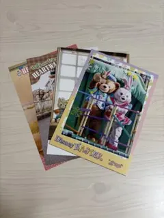 ピグちゃん様 リクエスト 4点 まとめ商品