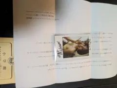 野口衣織 TOP YELL NEO サイン入り チェキ - メルカリ