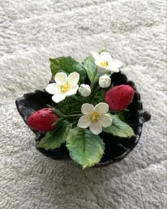 2025年最新】パンフラワーの人気アイテム - メルカリ