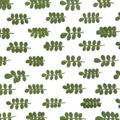 nakaba様 リクエスト 2点 まとめ商品