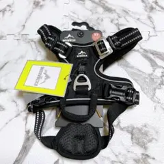 Item thumbnail for item 2defab3d-8bfc-4340-9cec-0940eb606d12